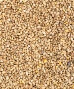 Barnyard Millet - Image 2