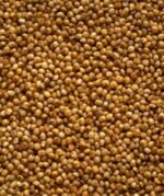 Kodo Millet - Image 2