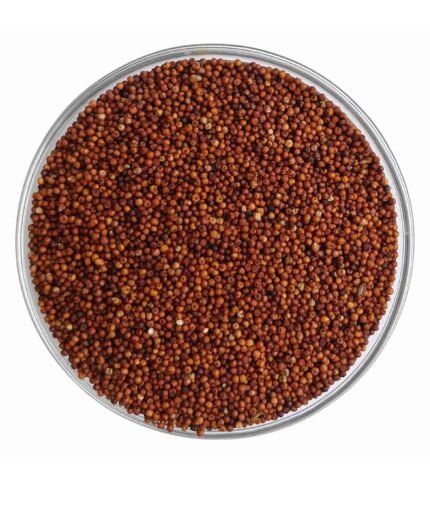 Ragi (Finger Millet) | Organic Healthy Millet Online – FreshlyEats