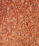 Ragi (Finger Millet) - Image 2