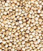 White Sorghum (Jowar) - Image 2
